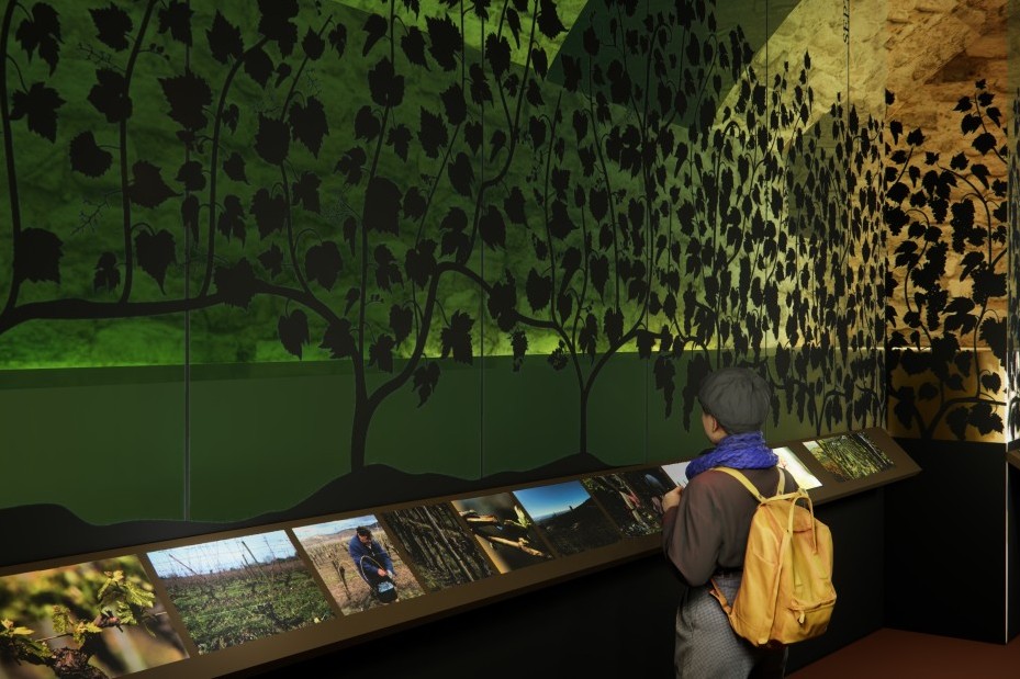 Ein Jahr im Weinberg visuell dargestellt