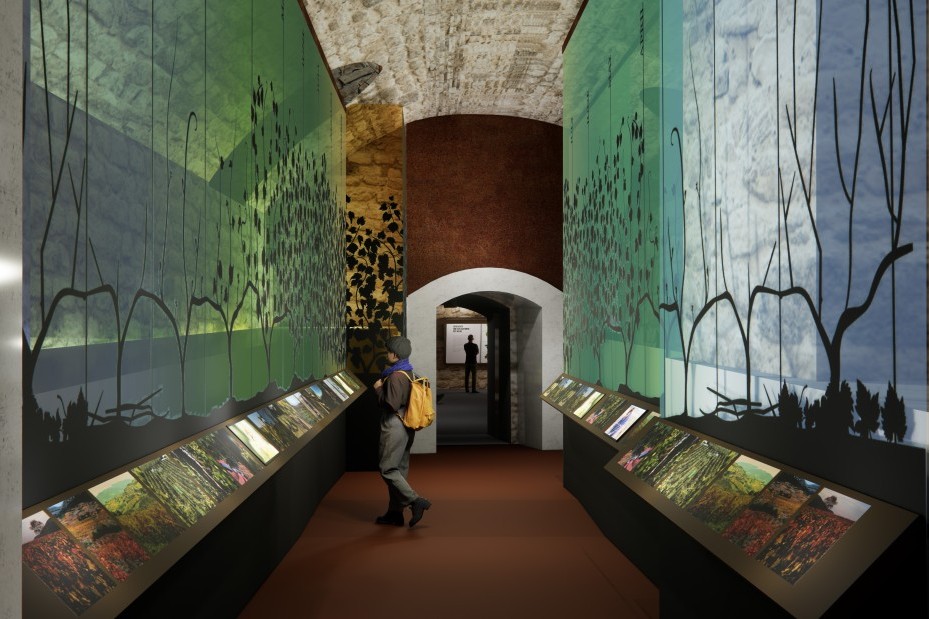 Ein Jahr im Weinberg visuell rechts und Links des Ganges dargestellt