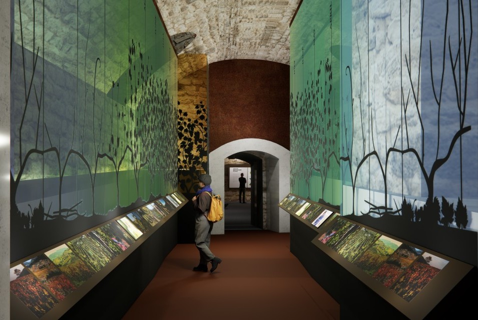 Ein Jahr im Weinberg visuell rechts und Links des Ganges dargestellt